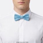 AQUA BLUE SELF PATTERN BOW TIE BT-1003