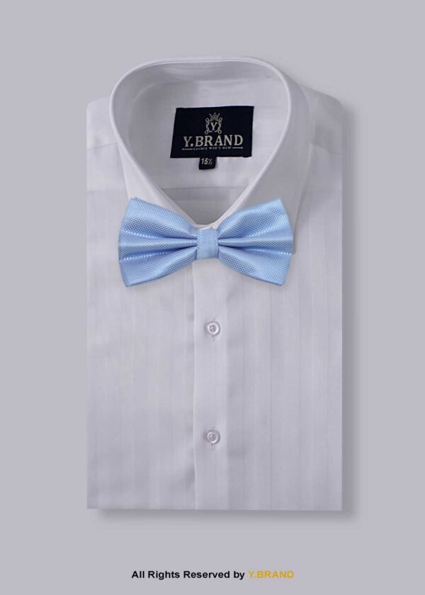 SKY BLUE PATTERN BOW TIE BT-1008 2 SKY BLUE PATTERN BOW TIE BT-1008