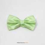 LIGHT GREEN PATTERN BOW TIE BT-1009 - Image 2