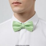 LIGHT GREEN PATTERN BOW TIE BT-1009