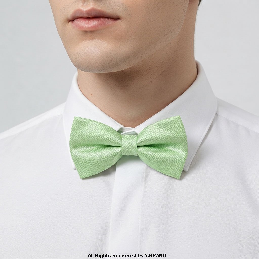 BT-1009c LIGHT GREEN PATTERN BOW TIE BT-1009 - Image 1