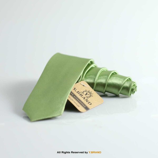 Slim Poly Plain Ties-T-064 6 Slim Poly Plain Ties-T-064