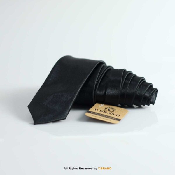 Slim Poly Plain Ties-T-064 10 Slim Poly Plain Ties-T-064
