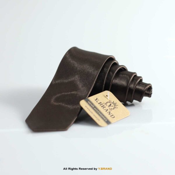Slim Poly Plain Ties-T-064 12 Slim Poly Plain Ties-T-064