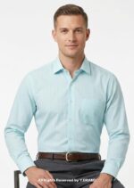 Aqua Marine Pin Striped formal shirt FS-1041