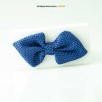 Blue Check PATTERN BOW TIE BT-1018