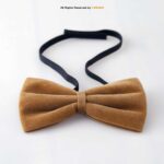 Luxury Velvet Neck Bow Ties BT-1020 - Image 2