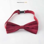Silk Neck Bow Ties BT-1021 - Image 2
