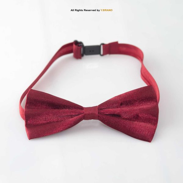 Silk Neck Bow Ties BT-1021 2 Silk Neck Bow Ties BT-1021