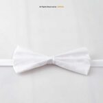 Silk Neck Bow Ties BT-1021 - Image 4