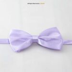 Silk Neck Bow Ties BT-1021 - Image 5