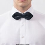 Triangle Gray Velvet Neck Bow Tie BT-1022