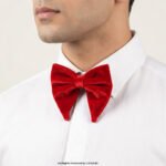 Red Butterfly Velvet Tuxedo Neck Bow Tie BT-1024