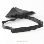 Butterfly Silk Tuxedo Neck Bow Tie BT-1025 - Image 5