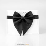 Butterfly Silk Tuxedo Neck Bow Tie BT-1025 - Image 4