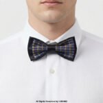 Stylish double fabric Neck Bow Tie BT-1026