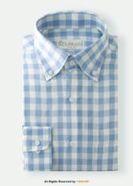 Y-BRAND Business casual blue check shirt