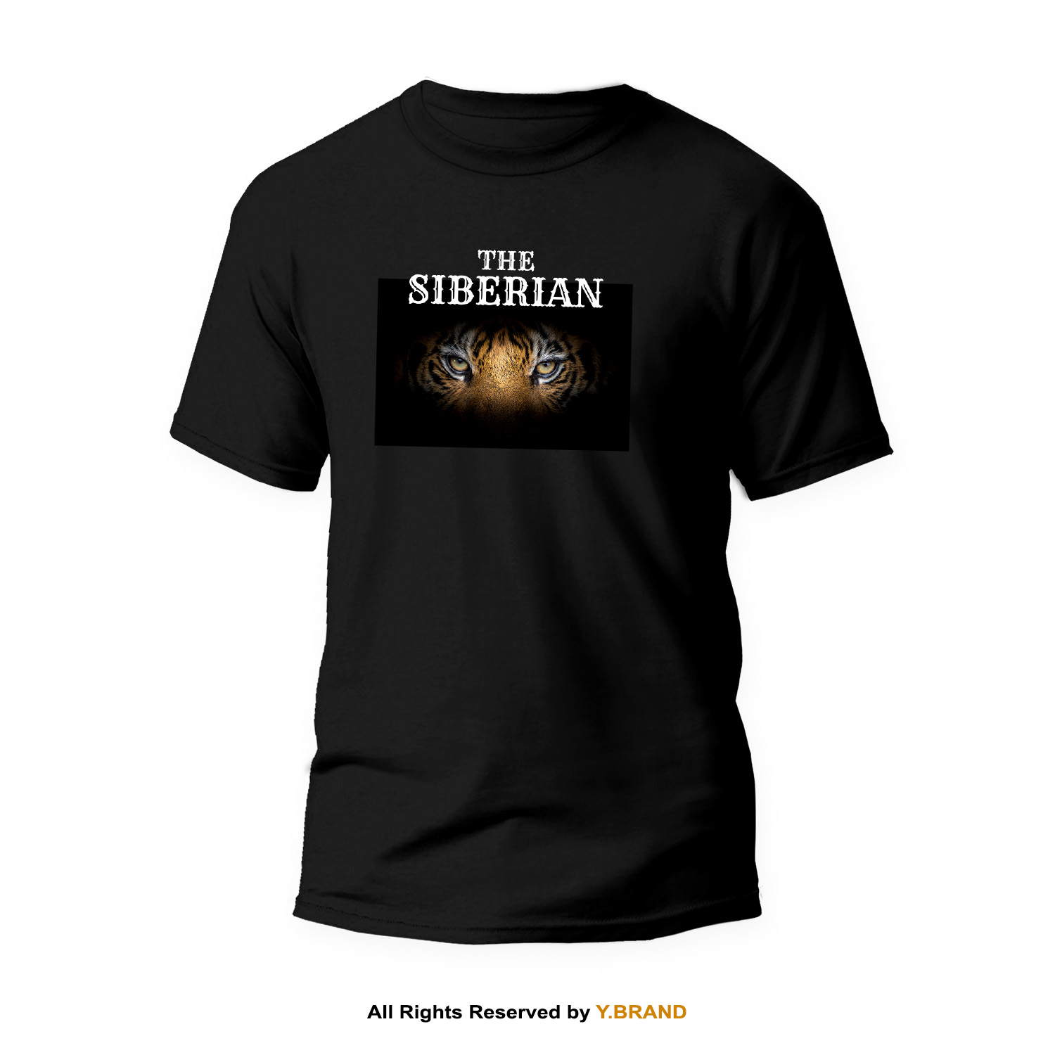 TS-1187-B.jpg Round Neck T-shirt PMTS-1187 - Image 1