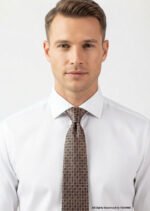 Classic Brown Micro Check Necktie T-150