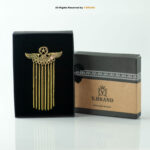 Eagle Wings With Star Brooch-B-1128