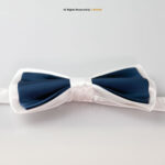 Stylish Double Fabric Neck Bow Tie BT-1027