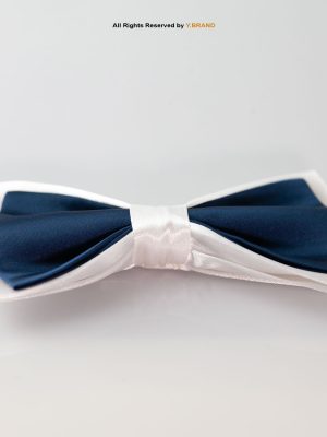 Stylish Double Fabric Neck Bow Tie BT-1027