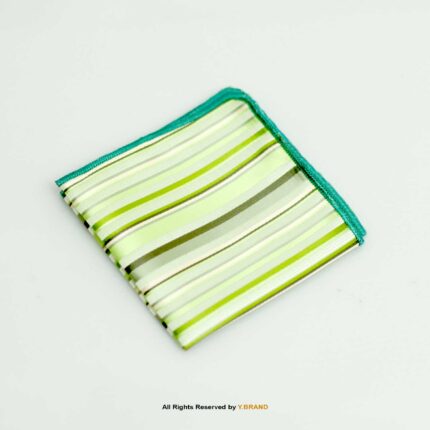Y.BRAND-Collection of Striped Pocket Square with contrast Border PS-1045