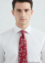 Red Silk Tie Paisley - T-175