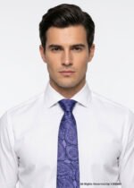 Purple Silk Tie Paisley - T-179