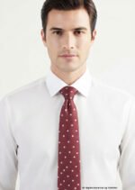 Maroon Silk Tie Polka Dots - T-188