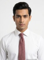 Premium Red & Blue Patterned Men's Necktie- T-197