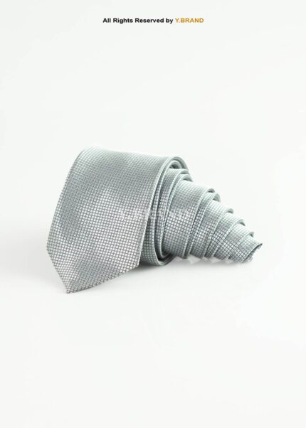 Silver Grey Silk Tie Micro Texture - T-209