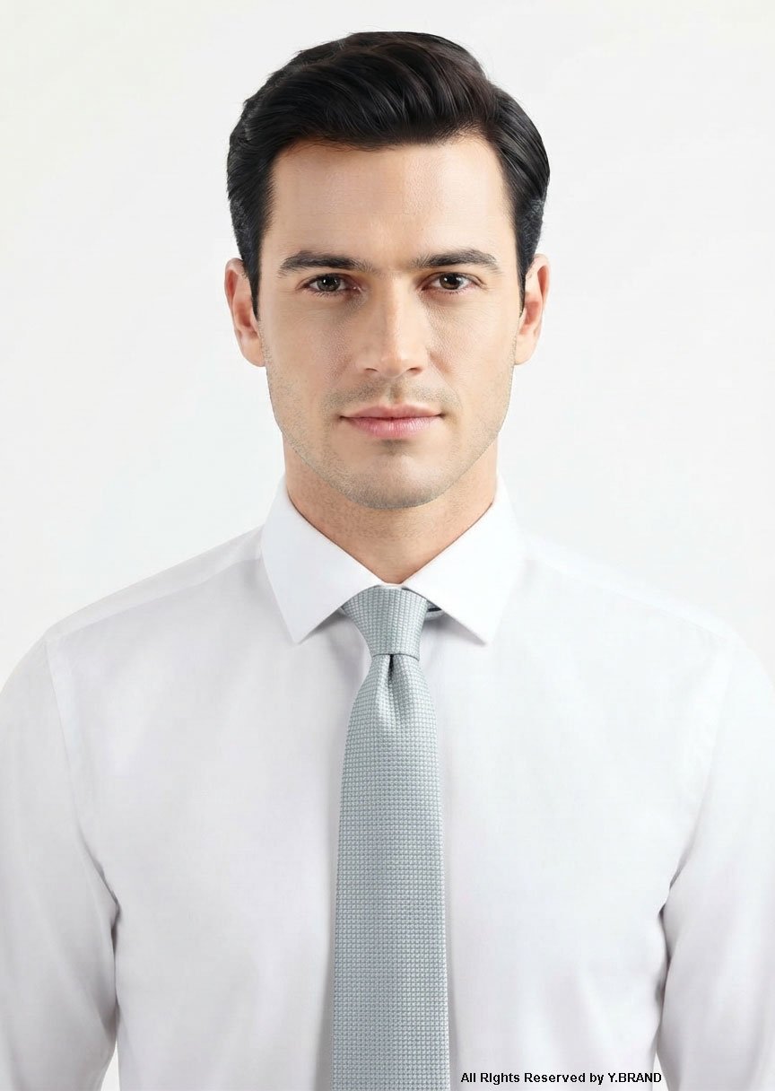 T-209a Silver Grey Silk Tie Micro Texture - T-209 - Image 1