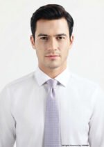 Silver Tie Micro-Check Woven - T-210