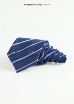 Navy Blue Tie Diagonal Stripe Woven - T-211