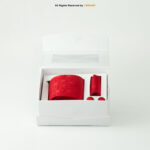 Red Textured Necktie |Tie Gift Set – 3pc Premium Silk Necktie, Pocket Square & Cufflinks TS-1123 - Image 3