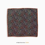 Burnt Orange & Cobalt Blue Paisley Men's Ascot Cravat Tie, Pocket Square Set-NS-1066 - Image 2