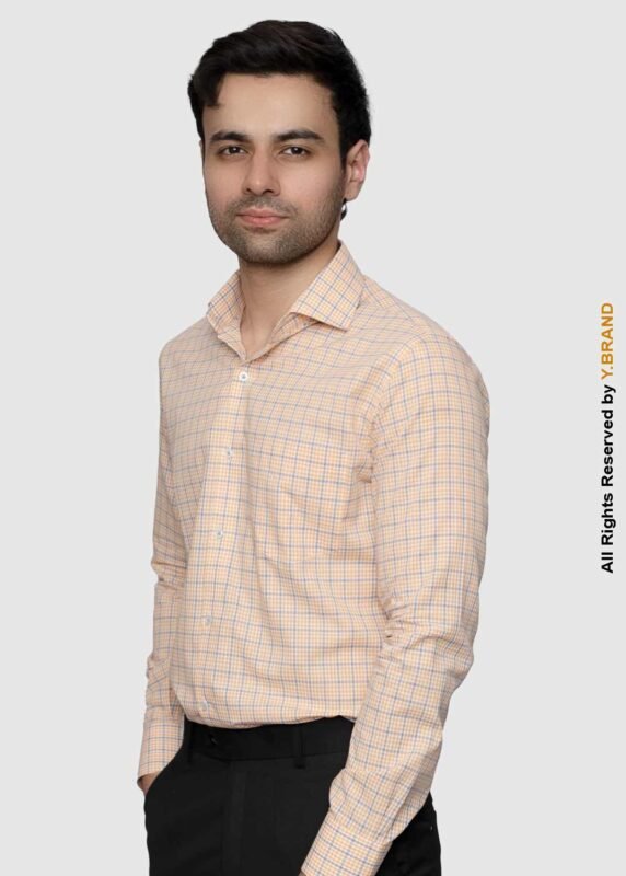 artical 017b